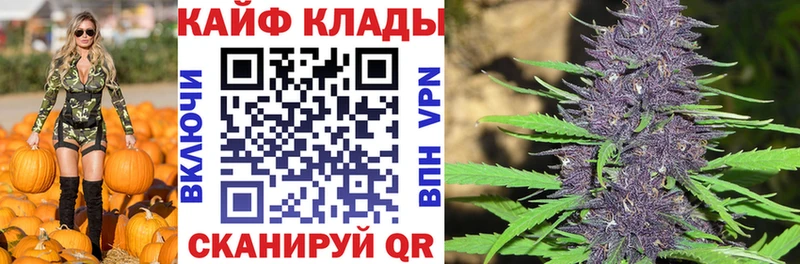 Наркота Разумное КОКАИН  Alpha-PVP  MEGA вход  МЕФ  ГАШ 