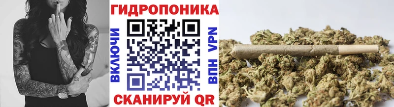 OMG ССЫЛКА  закладка  Разумное  Бошки Шишки OG Kush 
